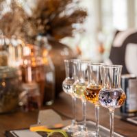 gin tasting