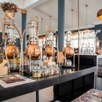 indaba hotel gin school
