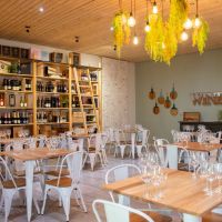 indaba tasting room 2024