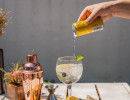gin cocktails
