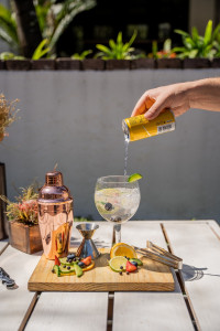 gin cocktails