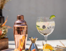 gin cocktails
