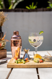 gin cocktails