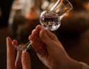 gin tasting