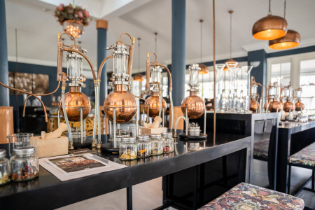 indaba hotel gin school