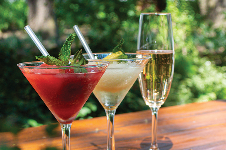 Leeuwenkuil Wine Frozen Tasting